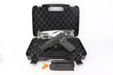 ANIB Sig Sauer P229 Pro