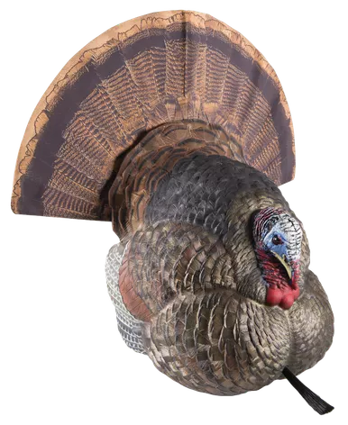 Avian-X LCD Strutter Turkey Decoy