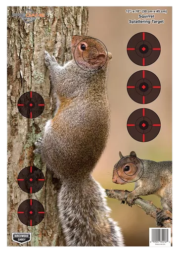 Birchwood Casey Pregame Target - 12x18 Inch Squirrel 8-Pack