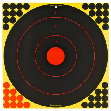 Birchwood Casey Shoot-N-C Bullseye Target 5" 17.25"