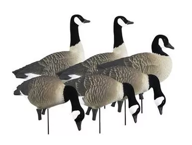 Higdon Outdoors Apex Full-Body Canada Goose Decoy Pack