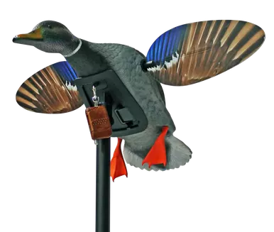 Mojo Outdoors HW24873P Elite Series Mini Drake Mallard Decoy with Remote