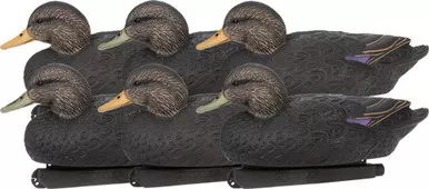Zink Floater Black Duck Decoy 6-Pack
